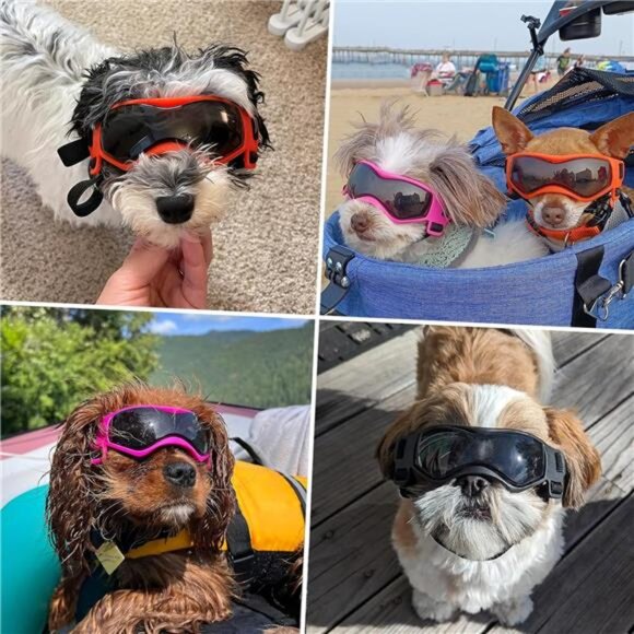 Dog Goggles Small Breed, Dog Sunglasses for Small Breed UV Protection Eyewear - Picture 6 of 7